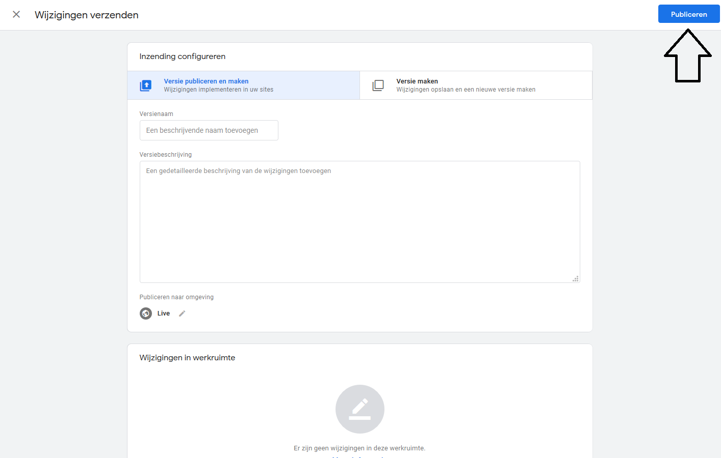 Google Tag Manager - publiceren container